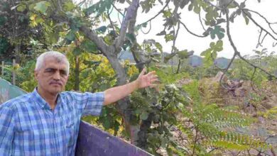 Emsalleri 47 milyona satılırken Büyükşehir 7 milyona sattı!