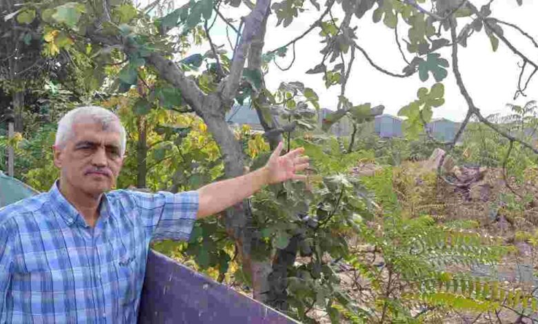 Emsalleri 47 milyona satılırken Büyükşehir 7 milyona sattı!