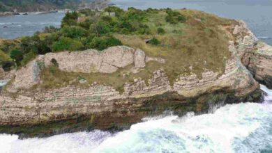 Kandıra Seyrek Kalesi’nde Restorasyon Çalışmaları Başlıyor