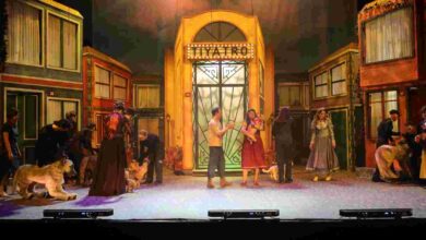 “Şebo Müzikali” sokak hayvanlarının sesi oldu