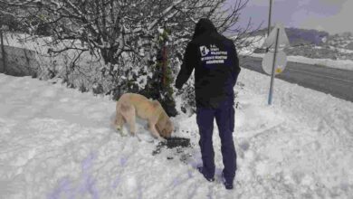 Soğuk günlerde sıcak destek