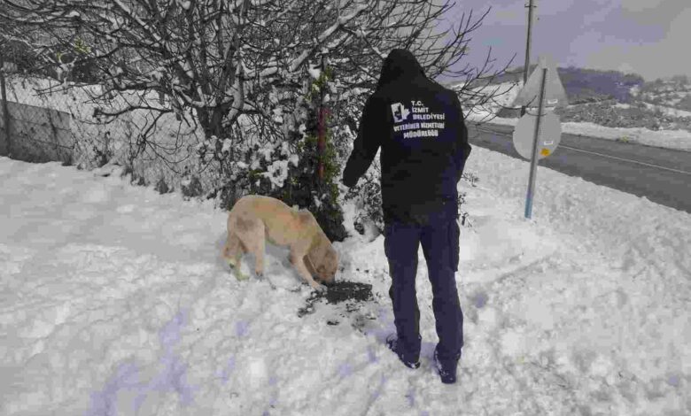 Soğuk günlerde sıcak destek