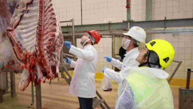 Kurban kesim başvuruları 15 Mayıs’ta başlıyor