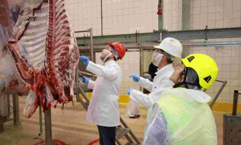 Kurban kesim başvuruları 15 Mayıs’ta başlıyor