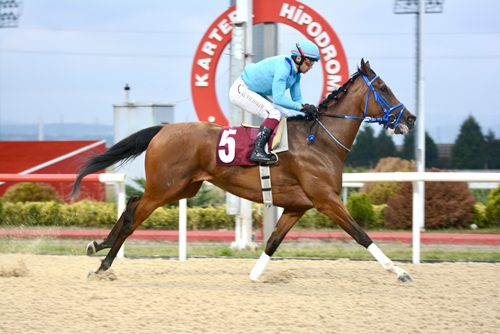 Leyla Atakan Koşusu’nu Prenses Sylvester kazandı
