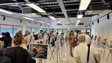 Türkiye’nin Doğası” fotoğraf sergisi Ormanya’da açıldı