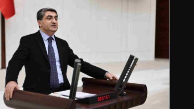 Ekmen: Mersin’de devlet eliyle zeytin ağacı kesilmesi vahşettir