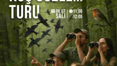 Kocaeli’de doğayı keşfetme zamanı