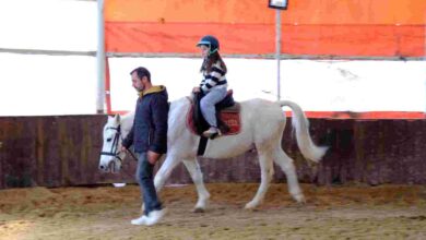 Ara tatili at üstünde geçirdiler