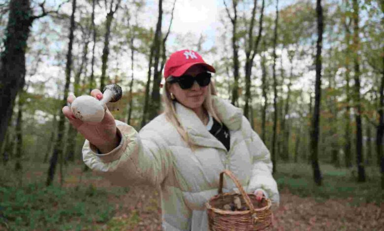 Mantar avıyla doğanın tadını çıkardılar