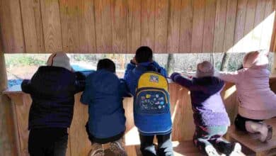 Çocuklar, Dünya Kuş Günü’nde doğayı keşfetti