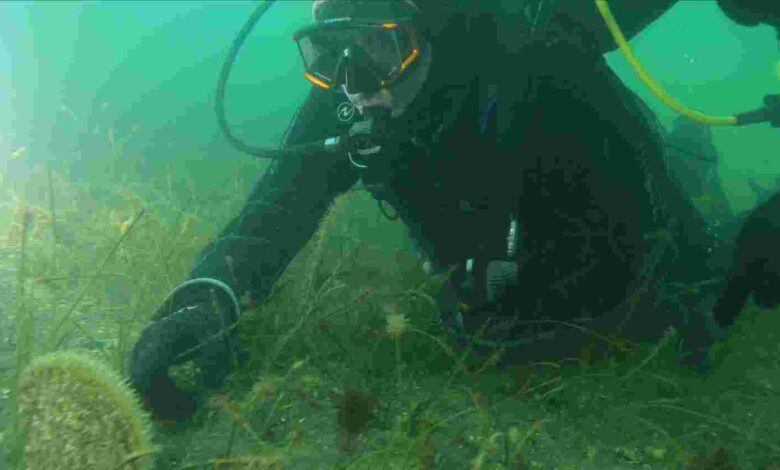 “Dipten diriliş tüm Marmara’ya yayılıyor”