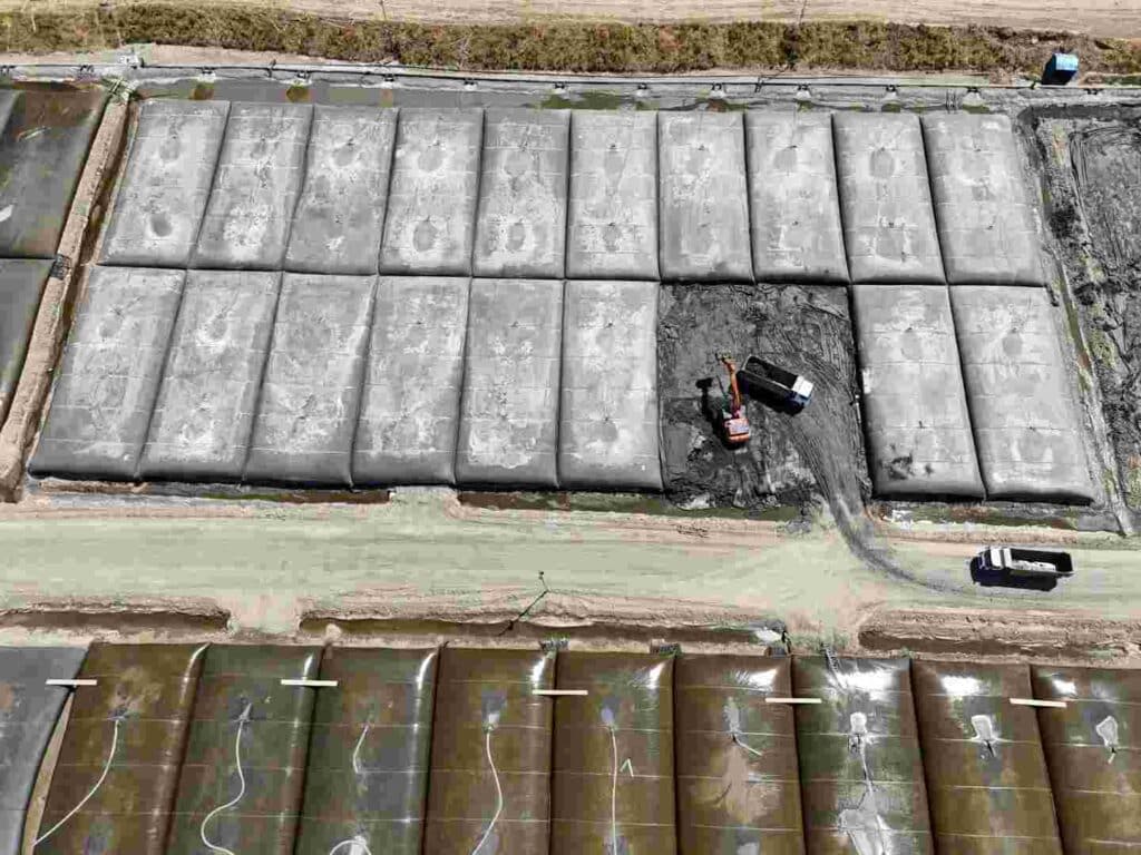 Deniz temizleniyor, ekosistem güçleniyor