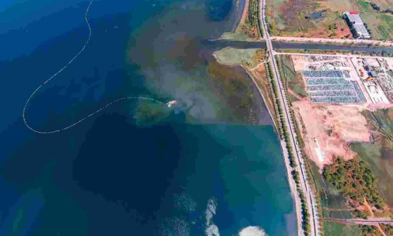 Deniz temizleniyor, ekosistem güçleniyor