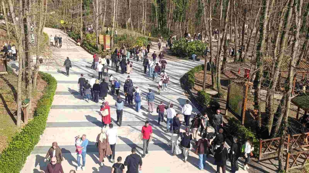 Güzel havanın rotası Ormanya oldu