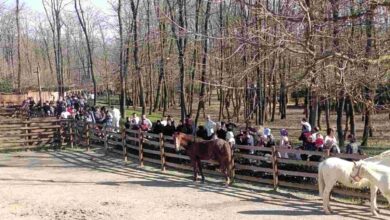 Güzel havanın rotası Ormanya oldu