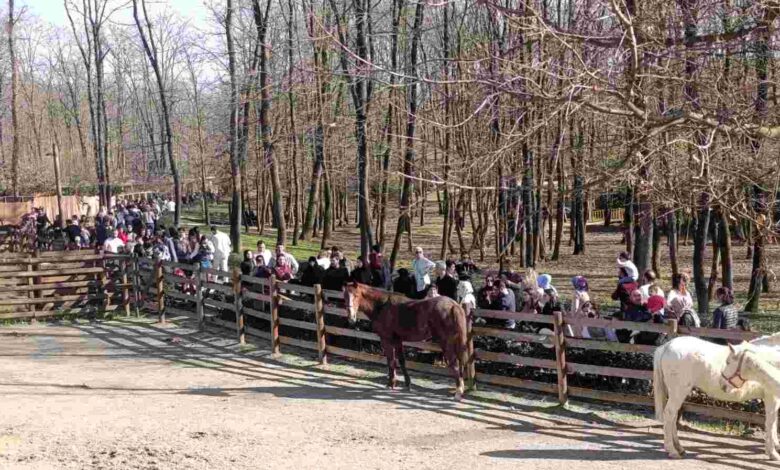Güzel havanın rotası Ormanya oldu