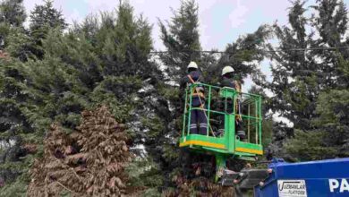 Kartepe’de Yeşil Alanlara Düzenli Bakım
