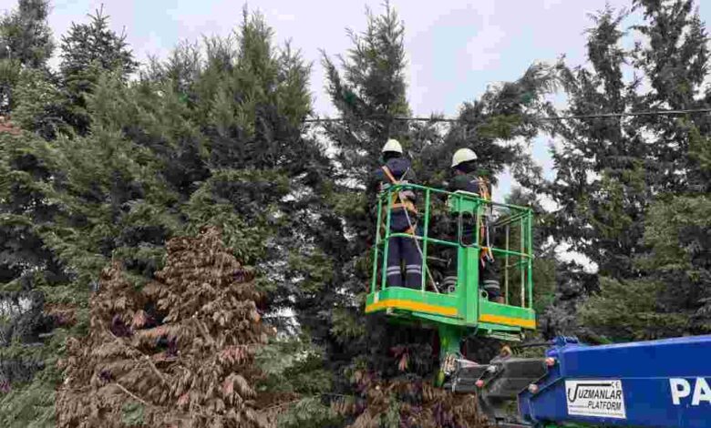 Kartepe’de Yeşil Alanlara Düzenli Bakım