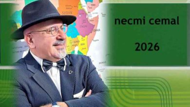 SEN BENİ KARAMÜRSEL SEPETİ Mİ SANDIN?