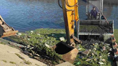 12 metreküp atık denize ulaşmadan toplandı