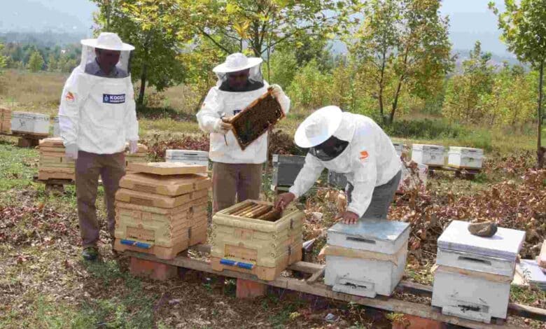 95 projeye 1 milyar 455 milyon TL destek