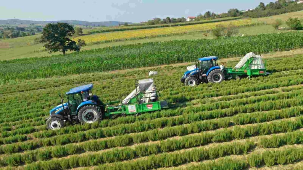 95 projeye 1 milyar 455 milyon TL destek