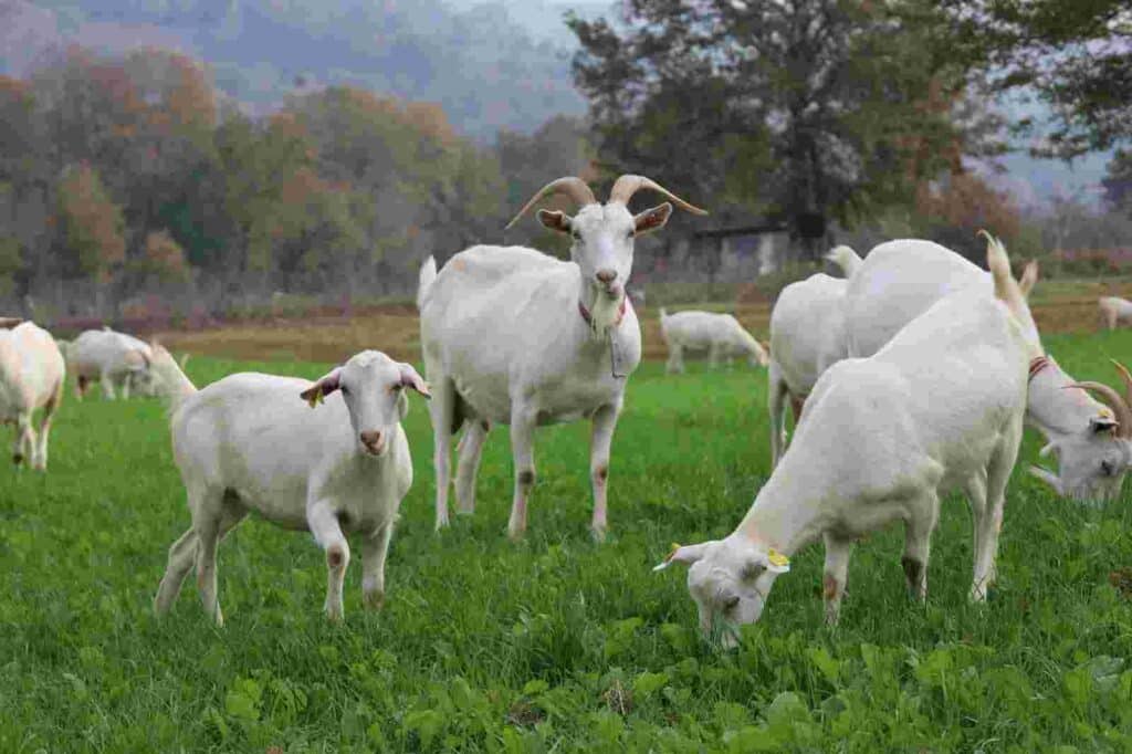 95 projeye 1 milyar 455 milyon TL destek