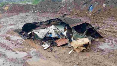 Atıkları attı, fotokapana yakalandı