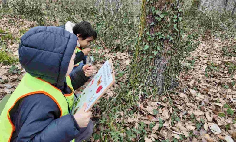 Lokomotif’in minikleri Ormanya’da doğayı keşfetti