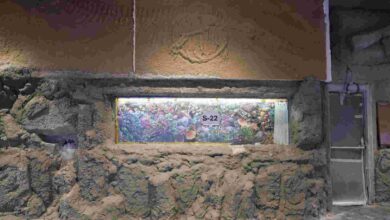 30 farklı akvaryum eşsiz bir gezi yaşatacak