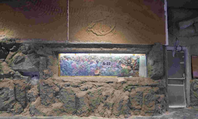 30 farklı akvaryum eşsiz bir gezi yaşatacak