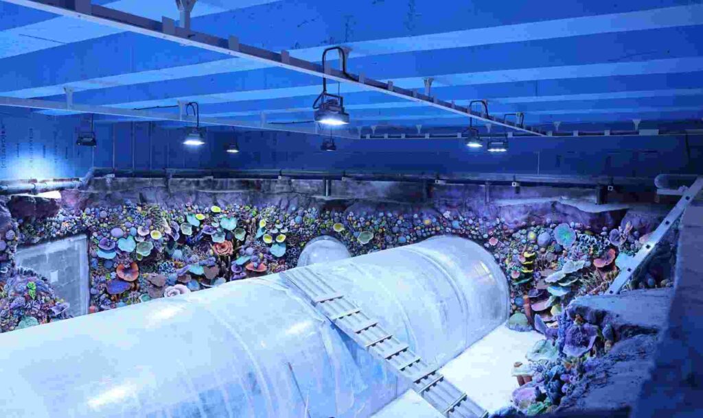 30 farklı akvaryum eşsiz bir gezi yaşatacak