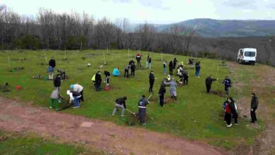 Fidanlar engelsiz hayat için dikildi