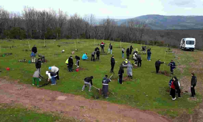 Fidanlar engelsiz hayat için dikildi