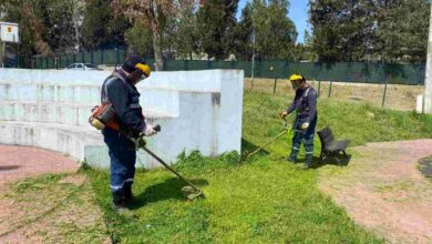 Kandıra’da Ot Biçme ve İlaçlama Seferberliği