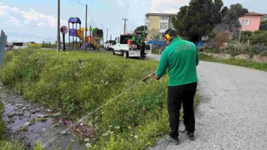 100 kişilik dev ekip, vektörle mücadele için sahada
