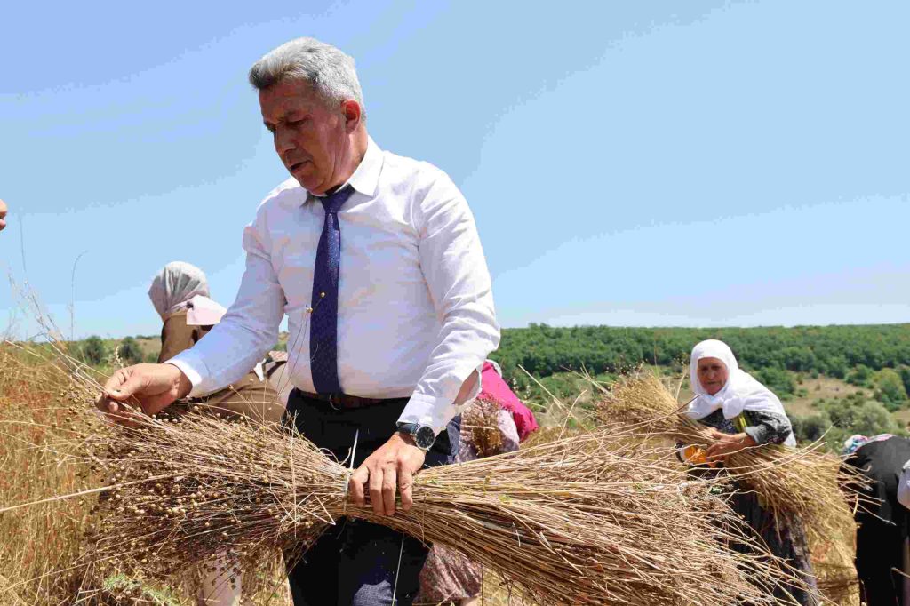 40 Yıl Aradan Sonra Kandıra’da Keten Üretimi Yeniden Başladı