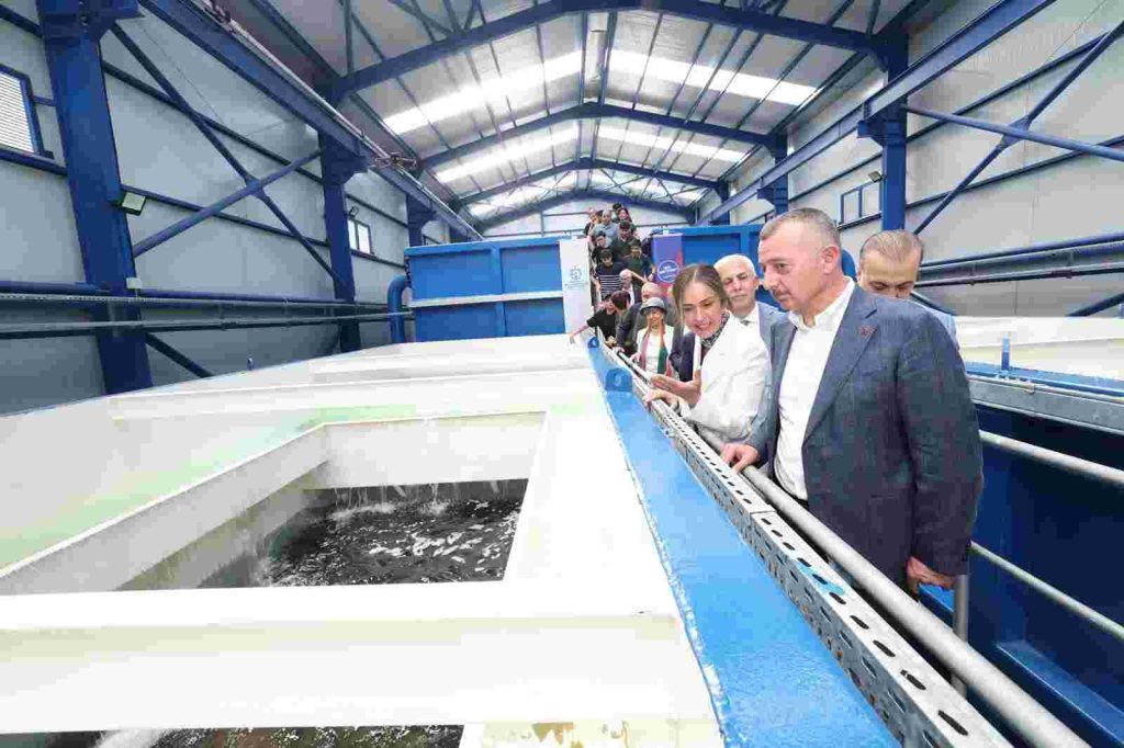 “Bu işi dosdoğru yapıyoruz”