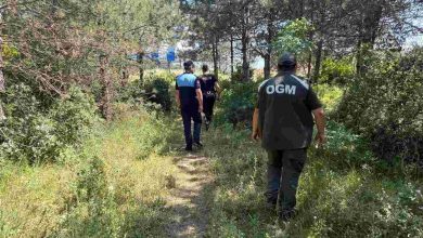 Dilovası’nda Orman Yangınlarına Karşı Sıkı Denetim