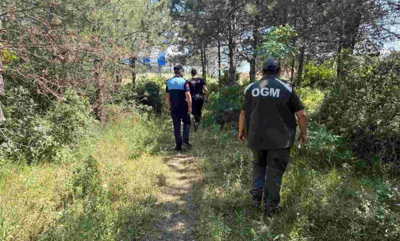 Dilovası’nda Orman Yangınlarına Karşı Sıkı Denetim