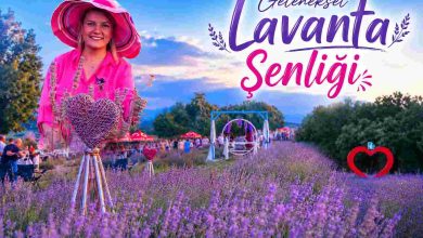 Geleneksel Lavanta Şenliği 30 Haziran’da doğaseverleri buluşturacak