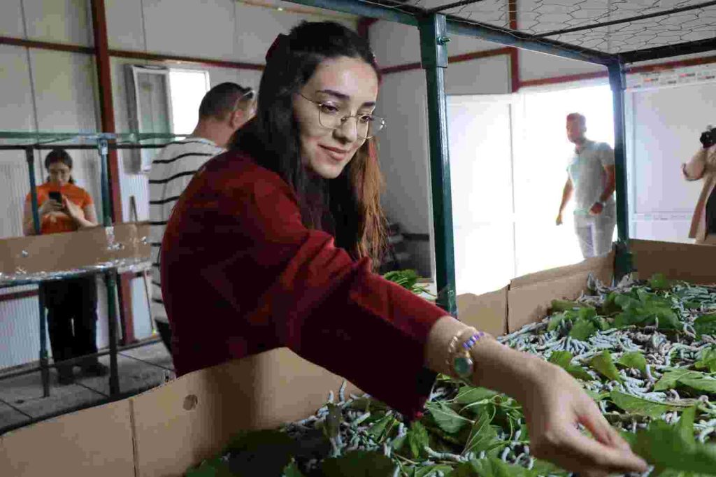 KOÜ öğrencileri İpekböceği Kozaevi’nde üretim sürecini yerinde inceledi