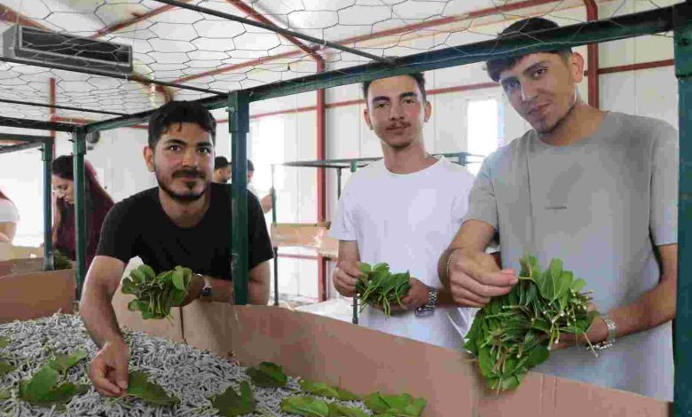 KOÜ öğrencileri İpekböceği Kozaevi’nde üretim sürecini yerinde inceledi
