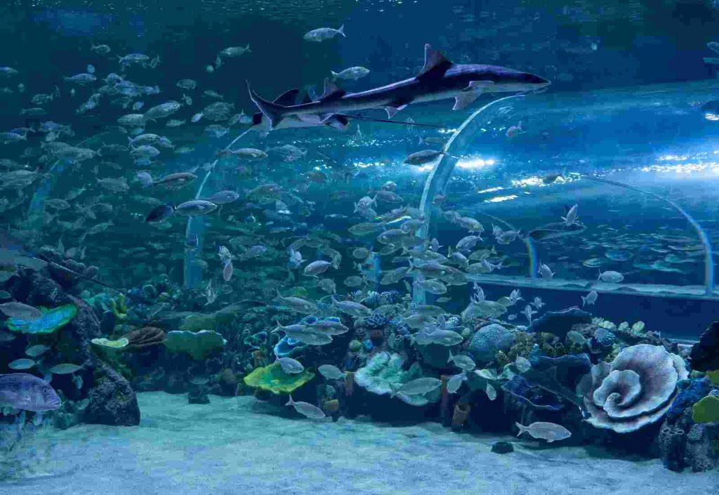 Körfez Aqua, 41 bininci ziyaretçisini ağırladı