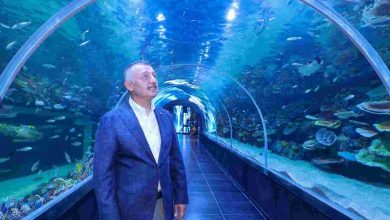 Körfez Aqua Kıtalar Akvaryumu kapılarını açıyor