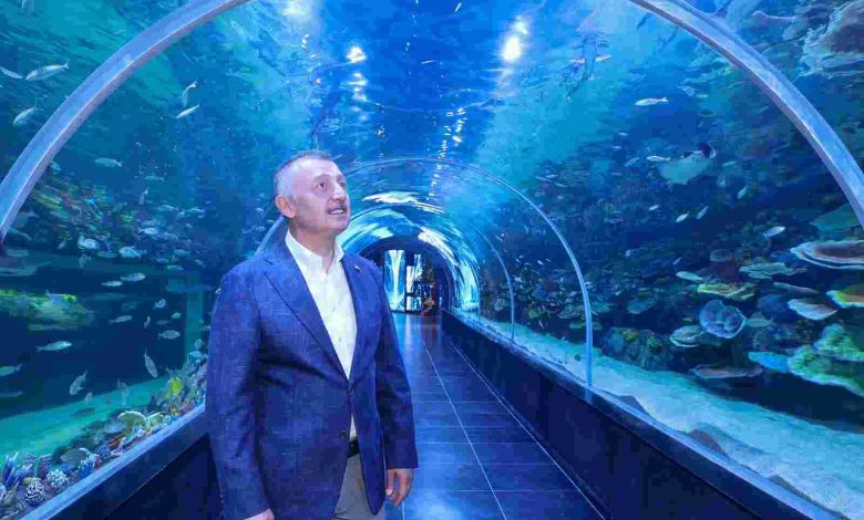 Körfez Aqua Kıtalar Akvaryumu kapılarını açıyor