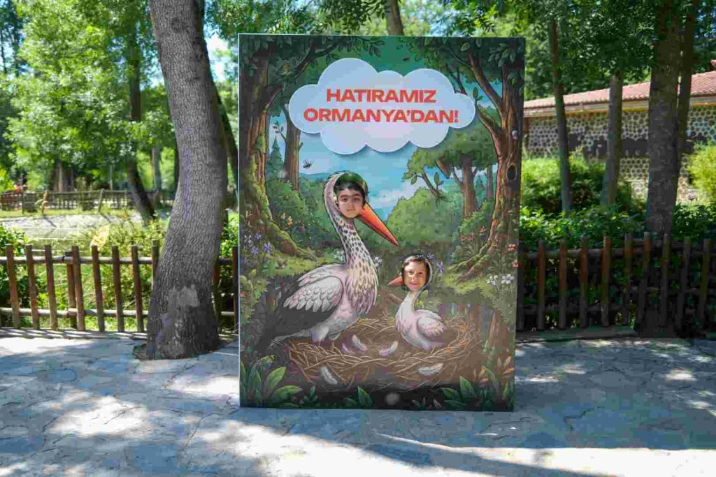 Ormanya’da yavru leylek Atlas’a sürpriz kutlama