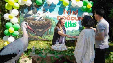 Ormanya’da yavru leylek Atlas’a sürpriz kutlama