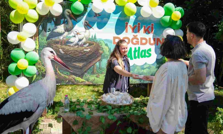 Ormanya’da yavru leylek Atlas’a sürpriz kutlama